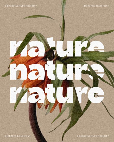 Friday feels: Finding tranquility in nature's details, much like the delicate lines of Ingrafts Bold. Wishing you a weekend filled with simple pleasures. 🌿 🔺 Font: Ingrafts - Bold & Funky Font #FontFriday #NatureInspired #Typography #IngraftsBold #SilverstagTypeFoundry #SerifFont #WeekendMood #DesignDetails #MinimalistType #NaturePhotography Jungle Typography Design, Organic Typography Design, Nature Typography Design, Social Change Poster, Earthy Typography, Good Friday Poster, Nature Fonts, Eco Font, Organic Fonts