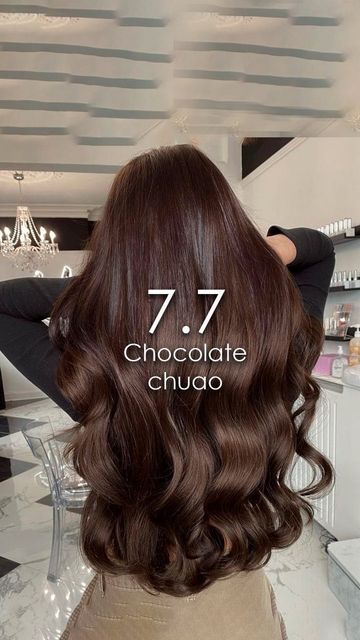 Long Dark Chocolate Brown Hair, Dark Chocolate Brown Hair Espresso, Chocolate Dark Brown Hair, Medium Chocolate Brown Hair, Dark Chocolate Hair Color, Pelo Chocolate, Dark Chocolate Hair, Dark Chocolate Brown Hair, Color Formulas