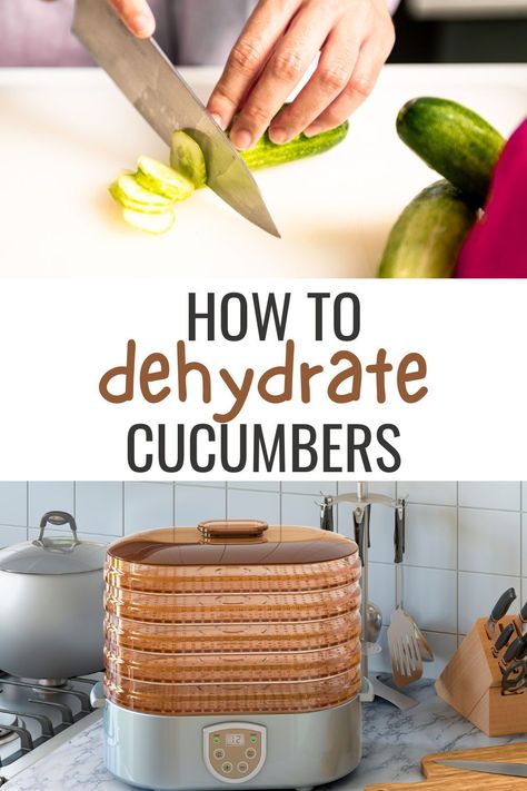 In this ultimate guide, we’ll explore dehydrated food and how to dehydrate cucumbers. We’ll also go over ways to make the dehydration process harder or easier, as well as give you tips on how to use dehydrated cucumbers. Let’s get started. What Can You Dehydrate, What Can I Dehydrate, Dehydrated Cucumber Recipes, Dehydrated Cucumbers, Dehydrate Cucumbers, Dehydrated Cucumber Chips Recipes, Homeschool House, What Foods Can You Dehydrate?, Homeschool Advice