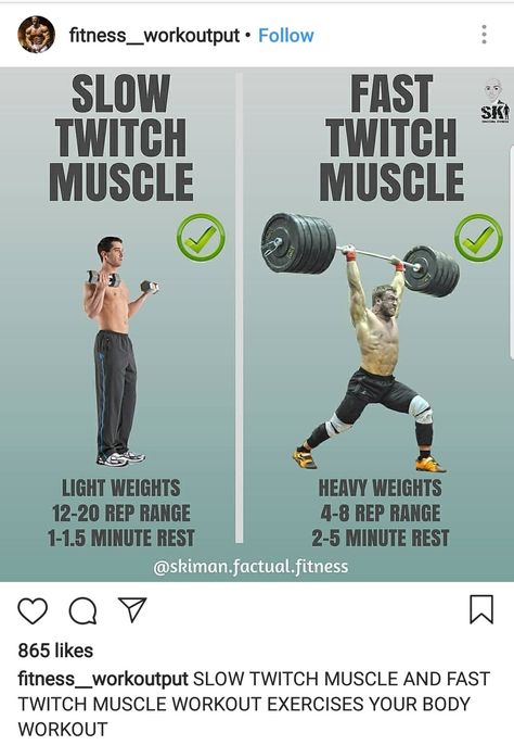 Slow Twitch Muscle Vs Fast Twitch Muscle Fast Twitch Muscle Workout, Weight Lifting At Home, Fitness Knowledge, Sports Injury Prevention, Muscle Exercises, Goal Activities, Workout Board, Sport Science, Speed Skating