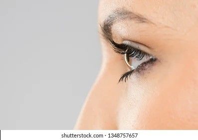 Eye Angle Reference, Side View Of Face, Eye Images, Face Angles, Side Eye, Human Eye, Drawing Lessons, Side View, Image Types