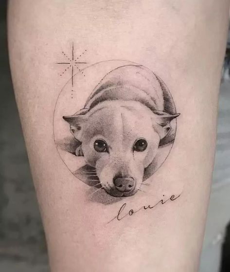 Single Needle Tattoos Explained: Meanings, Tattoo Ideas & Artists Dog Face Tattoo Placement, Fine Line Pet Portrait Tattoo, Animal Tribute Tattoos, Pet Portraits Tattoo, Fine Line Pet Tattoo, Small Pet Tattoos, Single Needle Tattoo Ideas, Fine Line Dog Tattoo, Unique Dog Tattoo Ideas