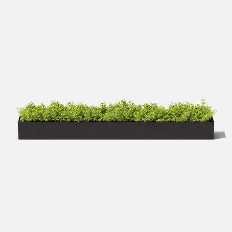 Candles Fruit, Plastic Planter Boxes, Plastic Planter, Metal Planter Boxes, Trough Planters, Rectangular Planters, Steel Planters, Plastic Planters, Planter Box