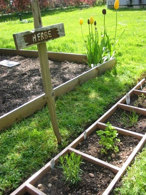 Herbs in a ladder garden.  Love the tulips in the corner of the bed.