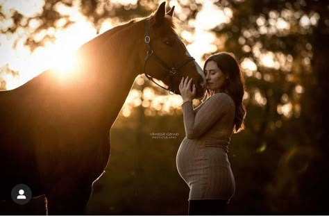 Pregnant Horse Photoshoot, Equine Maternity Photography, Maternity Photo With Horse, Maternity Photoshoot With Horse, Maternity Photo Shoot With Horses, Maternity Photography Horses, Maternity Photography With Horses, Maternity Horse Photoshoot, Maternity Photos With Horses