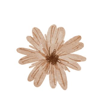 Brown Flowers Drawing, Beige Stickers Aesthetic, Brown Poster Aesthetic, Insta Scrapbook, Flower Watercolor Art, Green Screen Background Images, Widget Design, Phone Screen Wallpaper, Cream Wallpaper