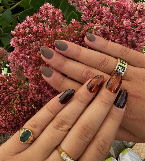 aesthetic, best friend nails, nail inspo, friend nail poses, hand poses, nail art, gelx nails, fall nails, brown nails, tortoise shell nails, trendy nails, short nails, almond nails, matte brown nails, nail photo, kylie nails, hailey bieber nails, 2023 nails Hailey Bieber Tortoise Nails, Nail Photo Ideas, Nails Matte Brown, Almond Nails Matte, Dark Red Tortoise Shell Nails, Matte Brown Nails, Fall Nails Tortoise, Autumn Tortoise Shell Nails, Best Friend Nails