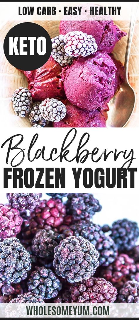 Blackberry Sugar-Free Keto Frozen Yogurt Recipe - Learn how to make keto frozen yogurt - the perfect healthy treat. Easy frozen Greek yogurt takes just 5 minutes + 4 ingredients! #wholesomeyum #keto #ketorecipes #frozenyogurt #icecream #berries #easyrecipes #ketodessert #lowcarbrecipes Keto Frozen Yogurt, Blackberry Frozen Yogurt, Blackberry Recipe, Keto Yogurt, Frozen Yogurt Recipe, Frozen Greek Yogurt, Keto Treats, Blackberry Recipes, Foraging Recipes