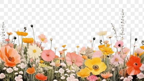 Flower Background Landscape, Flowers Png Hd, Border Flowers, Cool Live Wallpapers, Hd Landscape, Banner Clip Art, Organic Logo Design, Png Flower, Vintage Flowers Wallpaper