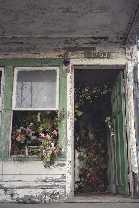 A Flower Farm Blooms From An Abandoned House In Detroit Sol Aesthetic, Southern Gothic Aesthetic, Abandoned Detroit, Abandoned House, Southern Gothic, Abandoned Mansions, Gothic Aesthetic, Abandoned Buildings, Back To Nature