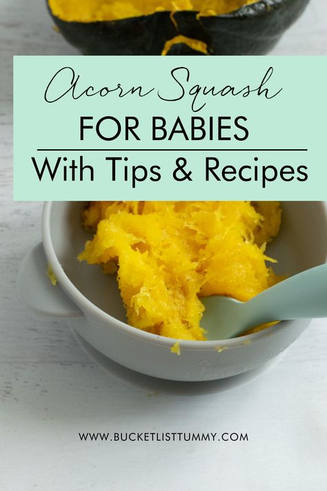 Serving acorn squash to baby is easy and a nutrition addition to their diet. Learn how to serve it properly with tips and recipes. #acornsquashforbaby #acornsquashrecipes Cooking Acorn Squash, Cook Acorn Squash, Acorn Squash Roasted, Baby Squash, Baby Breakfast, Baby Meals, Acorn Squash Recipes, Toddler Recipes, Squash Puree