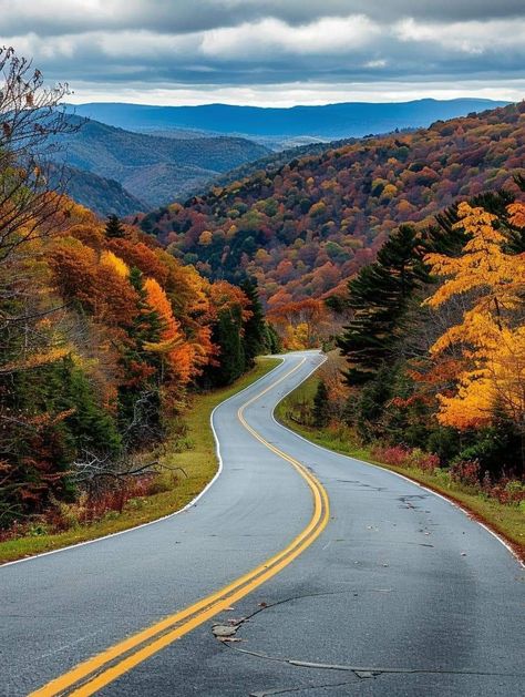 Allegheny Mountains from the Highland Scenic Highway, West Virginia West Virginia Aesthetic, Virginia Aesthetic, Tennessee Aesthetic, Tennessee Living, Wheeling West Virginia, Lexington Virginia, West Virginia Mountains, West Virginia Travel, Allegheny Mountains