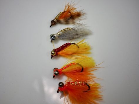 Crappie Fly Tying Patterns, Panfish Flies, Crappie Lures, Best Fishing Lures, Crappie Jigs, Aquatic Insects, Homemade Fishing Lures, Fly Fishing Flies Pattern, Bass Fishing Lures