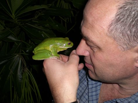 SCIENTIST PROFILE: Dr Phil Bishop is a lecturer in the zoology department at the University of Otago. He is a herpetologist specialising in amphibian biology and is actively involved in frog conservation. An early fascination with frogs, led Phil to study zoology and parasitology at Cardiff University. During his PhD and many years spent in South Africa, Phil had a lot of adventures, including close encounters with crocodiles and hippos during his field work! Cardiff University, Conservation Biology, Field Work, Dr Phil, University Professor, Close Encounters, Crocodiles, Reptiles And Amphibians, Zoology