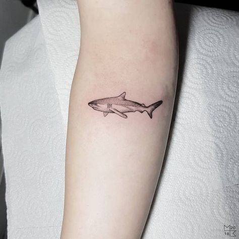 Simple Shark Tattoo, Small Shark Tattoo, Shark Tattoo Ideas, Shark Tooth Tattoo, Hai Tattoo, Tooth Tattoo, Small Shark, Shark Tattoo, Ocean Tattoos