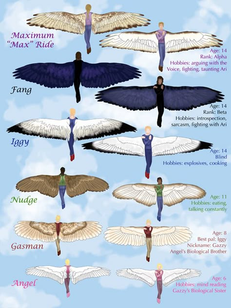 Different wings of the characters of Maximum RIde, wish Dylan was in there! Maxium Ride, Maximum Ride Manga, Winged People, Maximum Ride, Bird People, Wings Drawing, Ange Demon, Wings Art, Different Kinds