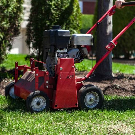 Lawn Aerator Buying Guide Lawn Aerators, Under Deck Roofing, Under Deck Drainage System, Deck Ceiling, Rock Water Fountain, Under Deck Ceiling, Under Deck Drainage, Patio Under Decks, Plastic Roofing