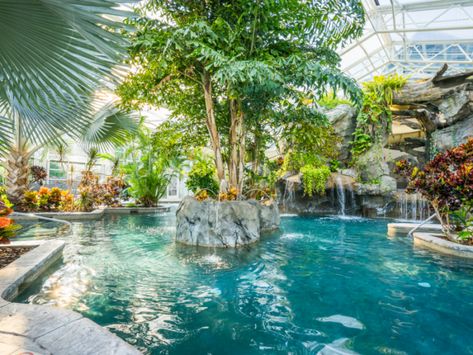 Freeform Pools, Indoor Swimming Pool, Crystal Springs, Indoor Outdoor Pool, Tropical Pool, Pool Waterfall, Ocean House, Resort Pools, Hotel Pool