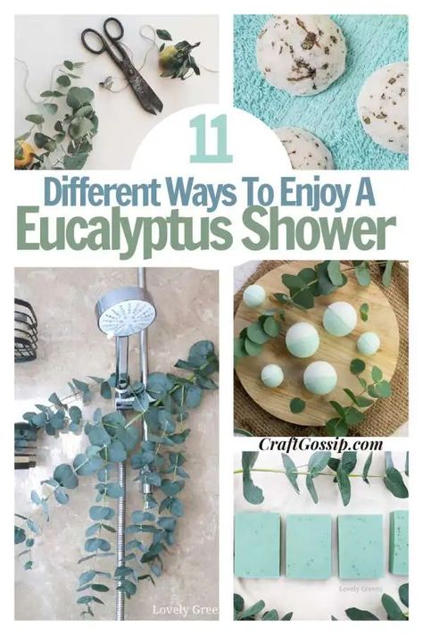 10 DIY Ways To Enjoy A Eucalyptus Shower – Bath and Body Soap Tutorial, Body Butters Recipe, Lip Balm Recipes, Fresh Eucalyptus, Dried Eucalyptus, Diy Shower, Cold Prevention, Natural Cold Remedies, Plants Decor