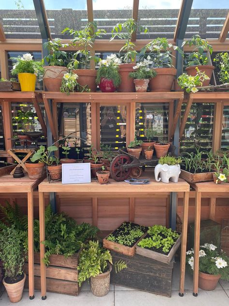 Gabriel Ash Greenhouses at RHS Chelsea Flower Show 2023 featuring seed trays, shelving and staging accessories. Greenhouse Staging, Greenhouse Heaters, Cedar Planters, Rhs Chelsea Flower Show, Gutter Guard, Wooden Greenhouses, Chelsea Flower, Chelsea Flower Show, Western Red Cedar