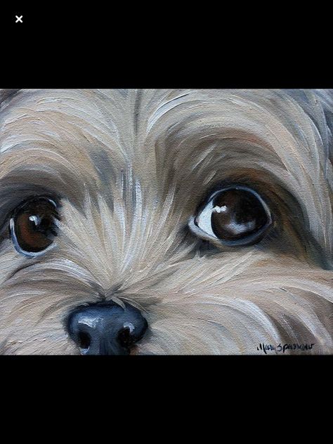 Morkie Dog Painting, Morkie Dog Drawing, Shitzu Paintings, Cavapoo Painting, Shitzu Painting, Dog Design Art, Dog Portraits Painting, Dog Portraits Art, Pencil Drawings Of Animals