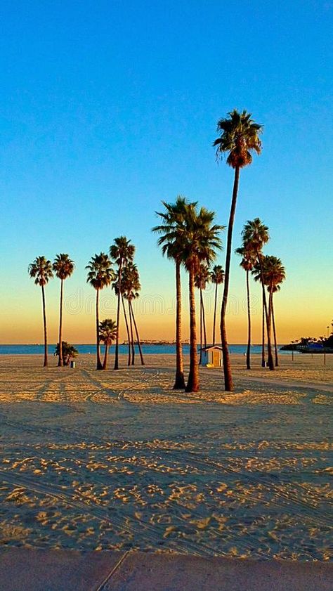 Long Beach. CA Cali California sunset afternoon evening dusk twilight Palm tree , #Aff, #evening, #afternoon, #dusk, #Palm, #twilight #ad Long Beach California Photography, American Dreams, California Palm Trees, 2024 Goals, Patterns Art, Beach Tattoo, California Sunset, Long Beach California, Painting Subjects