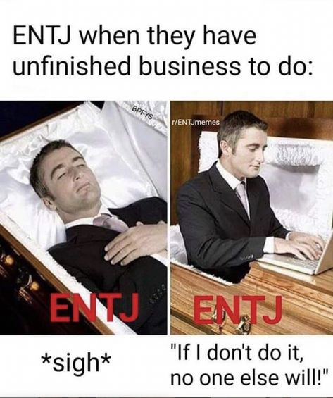 Entp Personality Type, Entj Personality, Types Of Psychology, The Memes, Mbti Relationships, Mbti Character, Most Beautiful Words, Zodiac Personalities, Mbti Personality