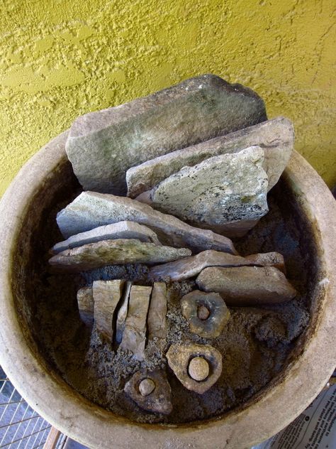 Garden In A Pot, Crevice Garden, Succulent Rock Garden, Garden Prepping, Alpine Garden, Gothic Garden, Flower Pots Outdoor, Rock Garden Landscaping, Garden Containers