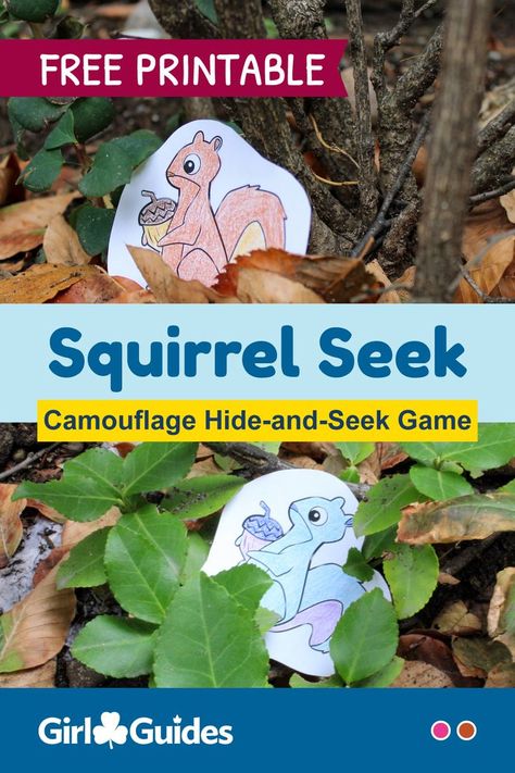 Find the squirrel! Kids will learn about camouflage by colouring, hiding, and searching for squirrels that blend into their surroundings. Preschool Forest Animals Activities, Forest Theme Preschool, Hedgehog Activities, Squirrel Activities, Squirrel Scouts, Squirrel Party, January Themes, Seasons Preschool, Squirrel Hunting