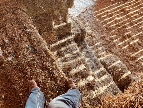 Cozy Farm Aesthetic, Farmer Asthetic, Jerry Baynard Aesthetic, Old Farm Aesthetic, Farmboy Aesthetic, Farmer Aesthetic Man, Farmer Boy Aesthetic, Hay Aesthetic, Vintage Farm Aesthetic