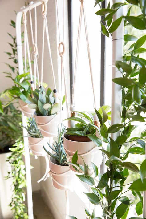 Zimmer Diy, Diy Clothes Rack, Support Pour Plante, Diy Plant Hanger, Home Plants, Plants Pots, Indoor Gardens, Indoor Jungle, Hanging Plant