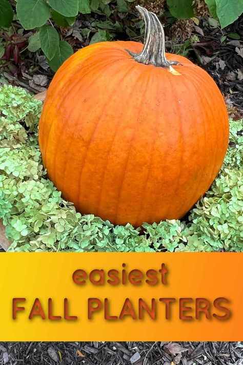 Fall Outdoor Planter Ideas With Pumpkins, Fall Pot Decorating Ideas, Easy Fall Planter Ideas, Pumpkin Planter Ideas, Outdoor Fall Flower Pot Ideas, Diy Fall Planters Outdoor, Autumn Window Box Ideas, Fall Planters With Pumpkins, Fall Container Ideas