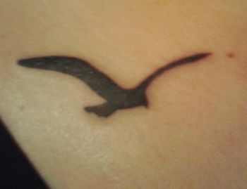 Seagull Tattoo Sea Gull Tattoo, Pelican Tattoo, Geese Breeds, Goose Tattoo, Seagull Tattoo, Be A Warrior, Stay True To Yourself, Small Tattoos With Meaning, Tattoo Now