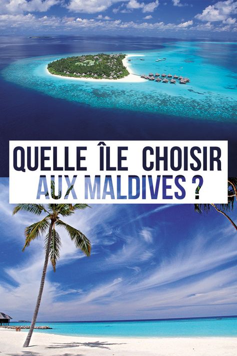 [Maldives] Quelle île choisir aux Maldives ? Découvrez nos conseils pour bien choisir son île. Avec 22 atolls, environ 1 200 îles et plus de 100 hôtels, pas facile de choisir son lieu de séjour et son hébergement ! Premium et exclusive, la destination mérite donc une attention particulière au moment de réserver ses vacances. 🌴☀🐠 #exotismes #voyage #maldives #ile #pilotis #villa #sejour #reve #paradis Seychelles, Maldives, Beautiful Gardens, Road Trip, Around The Worlds, Villa, Pool, Japan, How To Plan