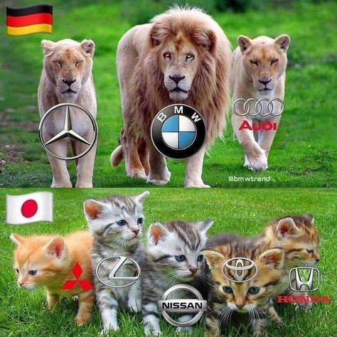 Super Fast Cars, Bmw M Power, Bmw Wallpapers, Bmw Love, Baddie Outfits Ideas, Street Racing Cars, Like And Comment, Dessin Adorable, Drift Cars