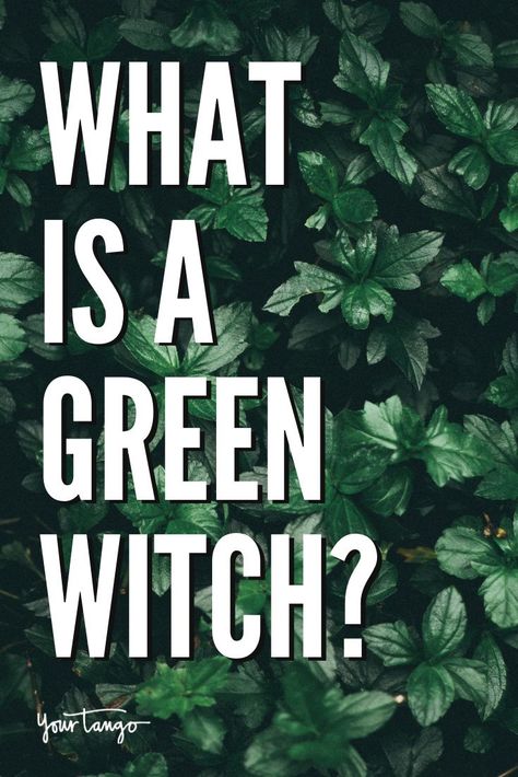 The Green Witch, Green Witch Magic, Green Witch Quotes, Green Witch Symbols, What Is A Green Witch, Green Witch Spells, How To Become A Green Witch, Witch Definition, Green Witch Book Of Shadows