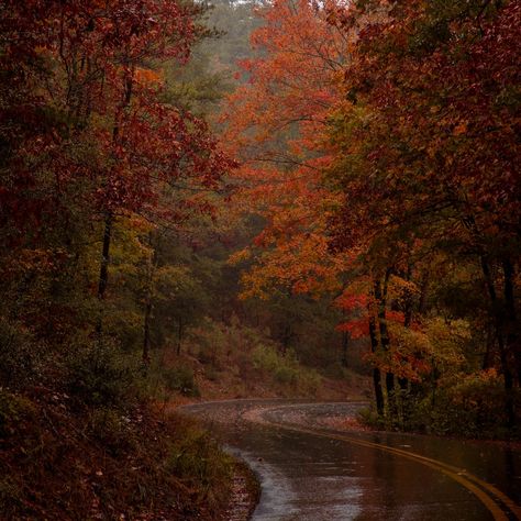 Autumn Widgets, Fall Widgets, Fall Core, Autumn Leaves Falling, Leaves Falling, I Love Autumn, Fall Mood Board, Autumn Magic, Red Fall