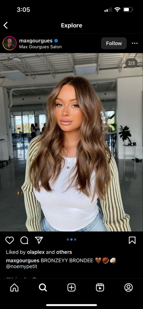 Old Money Burnett Hair, Brassy Brunette, Rich Brunnet Hair, Brunette Hair Inspo 2024, Old Money Brunnet Hair, Light Brunette Hair, Light Brunette, Mermaid Hair, Brunette Hair