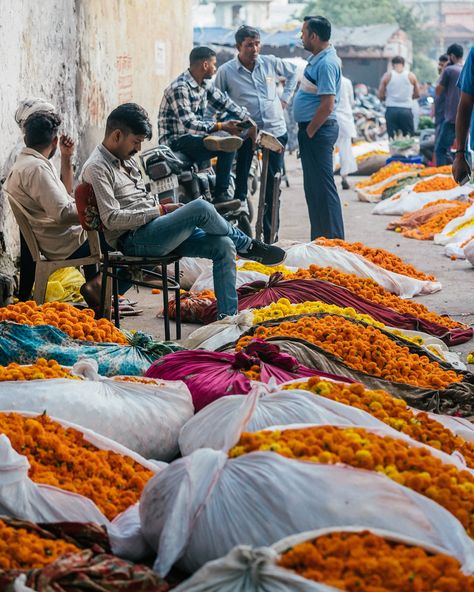 Jaipur Flower market 🌸🌼🪻🇮🇳 Add this to your Jaipur itinerary and make sure you watch the video at the end! The Jaipur Flower Market is a vibrant and bustling hub where locals gather to buy and sell many colourful fresh flowers, from fragrant marigolds to delicate roses and deliciously scented jasmine. The early mornings is when the market comes to life (you’ll want to come between 7-8am) as vendors create beautiful floral garlands, adding to the city’s rich cultural and spiritual traditions... Jaipur Itinerary, Early Mornings, Floral Garland, Flower Market, Early Morning, Fresh Flowers, Jaipur, Travel Inspiration, The City