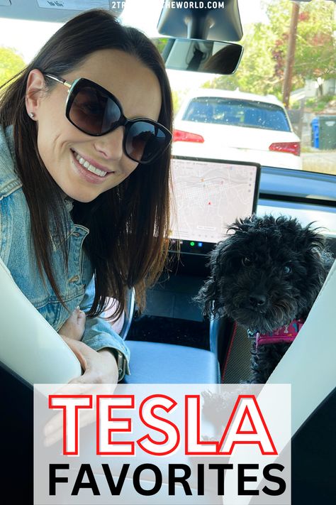 girl and dog in a tesla car. The toy poodle and woman are in the front seat of a tesla model y. The image reads tesla favorites and links to our favorite tesla model y accessories Tesla Model S Accessories, Tesla Car Organization, Tesla Model Y Organization, Car Camping Tesla Model Y, Tesla Model Y Interior Accessories, Tesla Interior Decor, Tesla Key Card Holder, Grey Tesla Model 3, Tesla Model 3 Interior Accessories