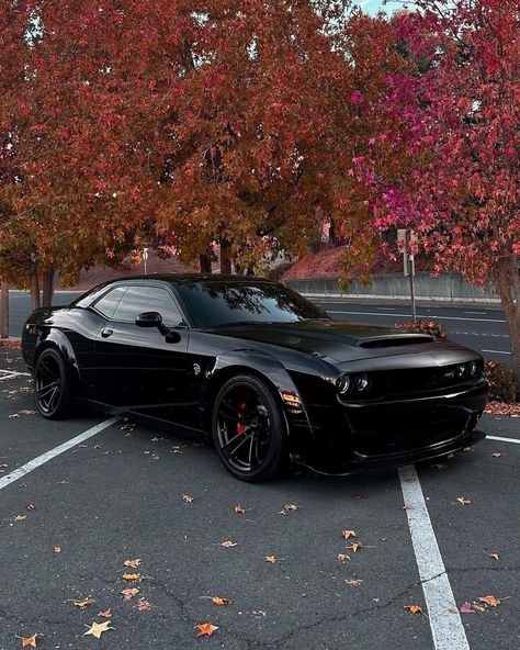 Cars Dodge Challenger, Tmax Yamaha, Dodge Challenger Hellcat, Challenger Srt Hellcat, Dream Car Garage, Dodge Challenger Srt Hellcat, Challenger Srt, Dodge Challenger Srt, Srt Hellcat