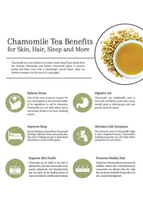 Benefits Of Chamomile, Chamomile Tea Benefits, Chamomile Plant, Haut Routine, Tomato Nutrition, Calendula Benefits, Fruit Health Benefits, Matcha Benefits, Lemon Benefits