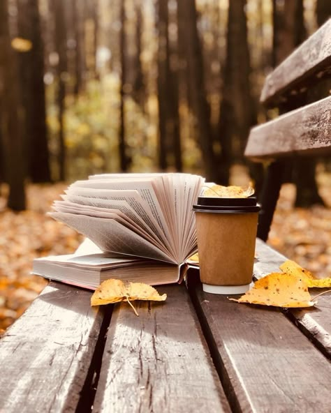 Autumn Book Photography, Autumn Reading Aesthetic, Autumn Books Aesthetic, Fall Reading Aesthetic, Autumn Gardening, Autumn Reading, Fall Photography Nature, Fall Mood Board, Bookstagram Inspiration