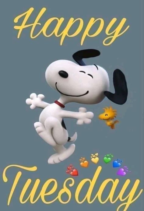 Tuesday Morning Wishes, Good Morning Tuesday Wishes, Happy 72nd Birthday, Happy Snoopy, Happy Tuesday Morning, Happy Monday Quotes, Good Morning Snoopy, Good Afternoon Quotes, Happy Tuesday Quotes