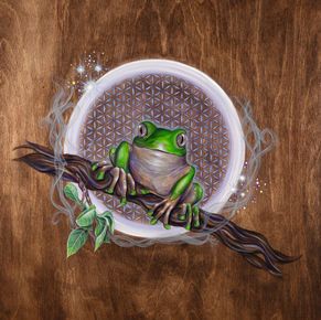 Kambo Frog, Water Soluble Oil Paint, Peruvian Amazon, Type Artwork, Frog Tattoos, My Fantasy World, Wooden Canvas, Frog Art, Tree Frog