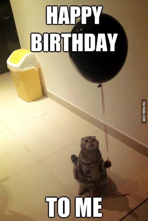 Happy Birthday To Me Quotes, Birthday Quotes For Me, Birthday Girl Quotes, Birthday Captions Instagram, 9gag Funny, Happy Birthday Quotes Funny, Funny Reaction, Birthday Post Instagram, Seni Dan Kraf