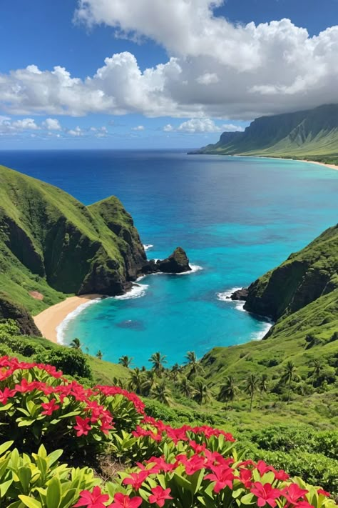 Hawaiian Scenery, Hawaii Scenery, Hawaii Culture, Molokai Hawaii, Hawaiian Language, Drawing Refrences, Adventure Inspiration, Hawaiian Culture, Pacific Islands