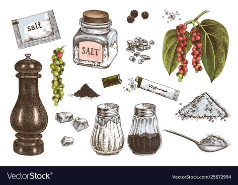 Food Illustrations, Salt Pepper, Decorative Bells, Salt And Pepper, Png Images, Adobe Illustrator, White Background, Hand Drawn, Vector Images