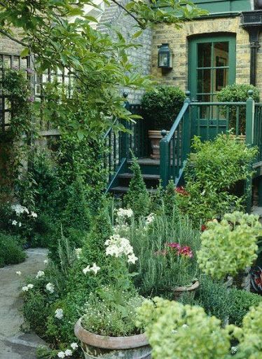 Backyard Flowers Garden, Lots Of Plants, Backyard Flowers, Have Inspiration, The Secret Garden, Plants And Flowers, Garden Photos, Courtyard Garden, Garden Cottage