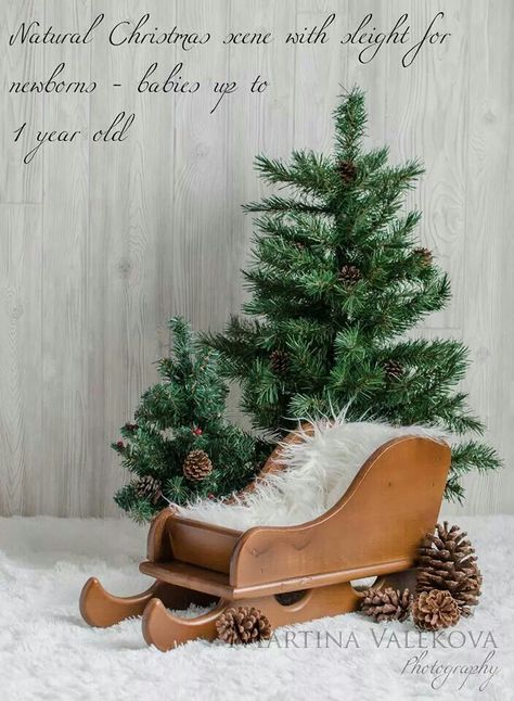 Diy Christmas Photography Set Up, Easy Christmas Set Up Photography, Christmas Sleigh Photoshoot, Set Natale Photo, Simple Christmas Photography Setups, Christmas Studio Photography Setup, Christmas Photo Background, Natural Holiday Decor, Birthday Background Design